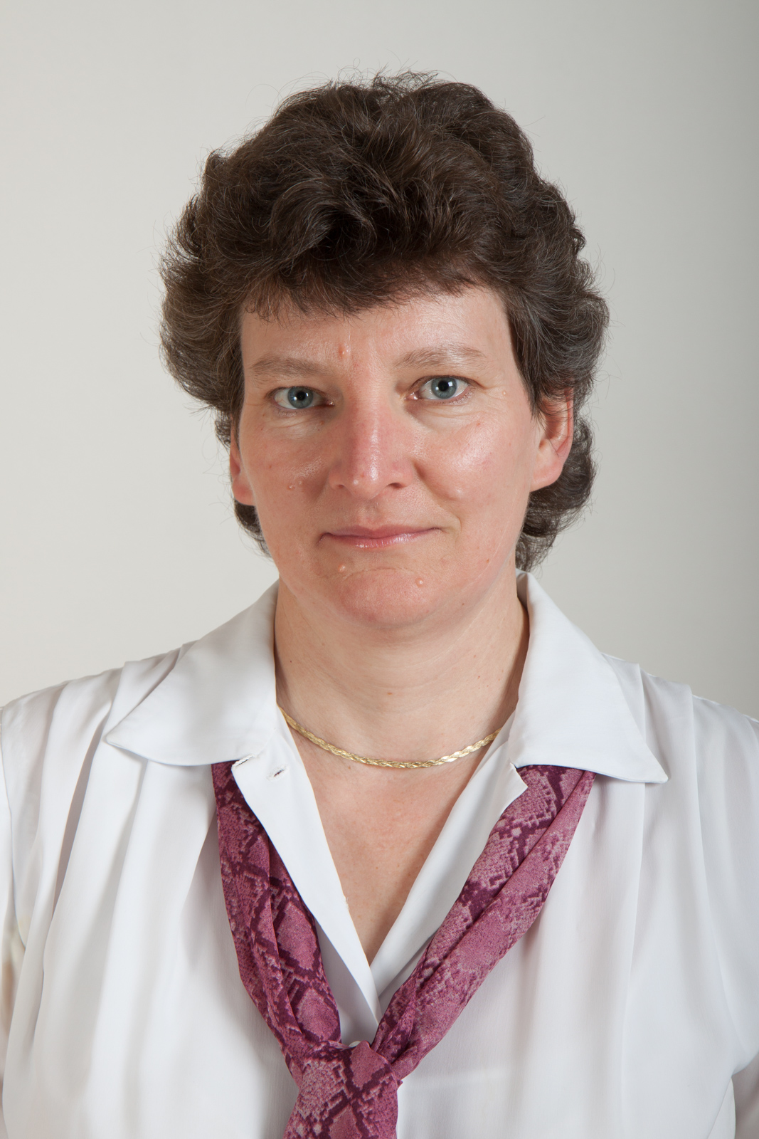 doc. Dr. Ing. Vlasta Radová